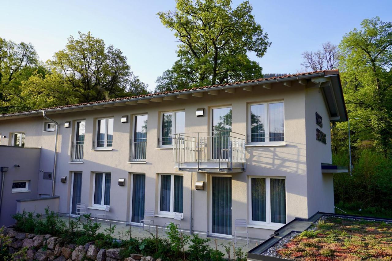 Busses Guesthouse Freiburg im Breisgau Buitenkant foto