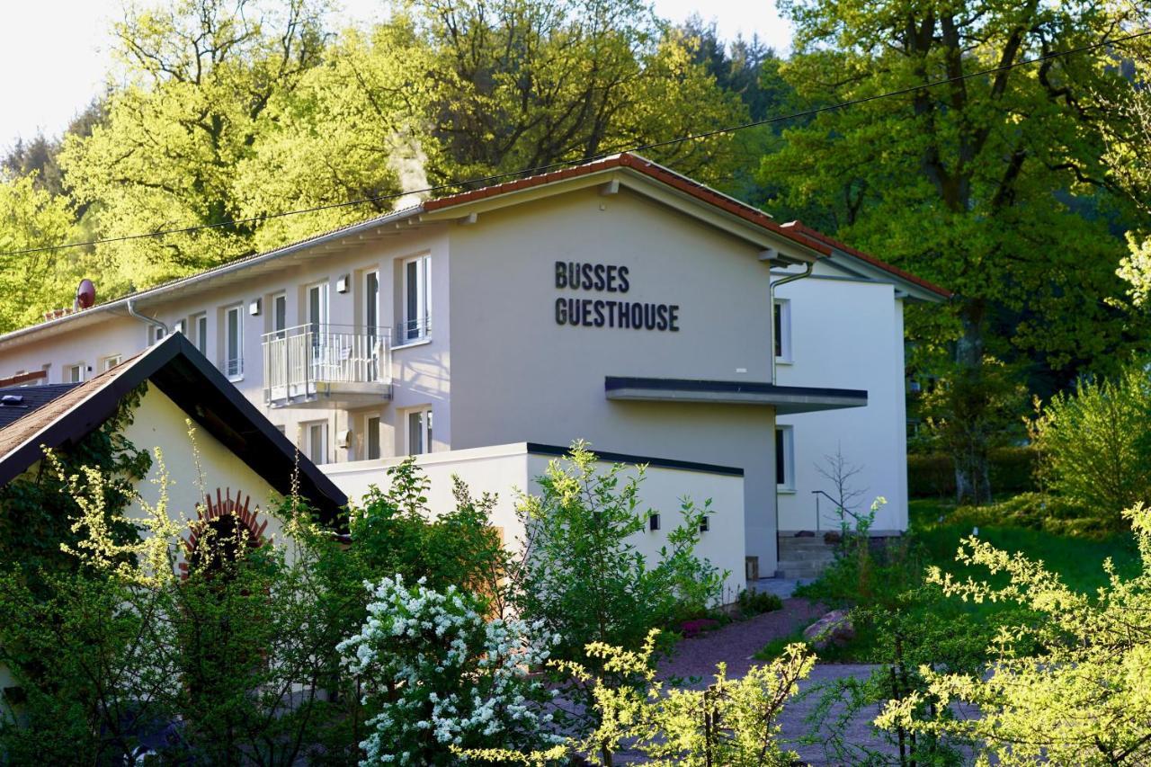 Busses Guesthouse Freiburg im Breisgau Buitenkant foto